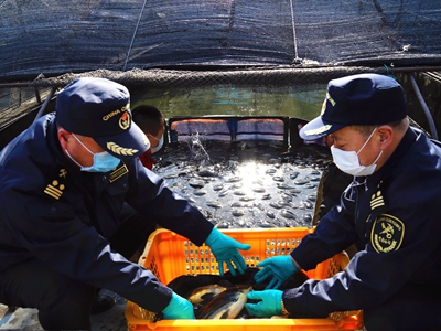 辽宁省疫情死亡多少人 bb405c13be29ed59.jpg